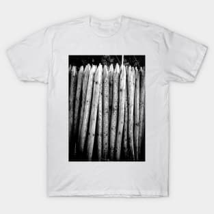 Timber Palisade - 2013 T-Shirt